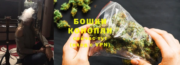 шишки Балахна