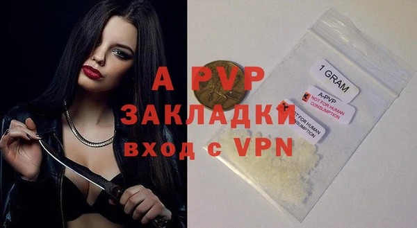 шишки Балахна