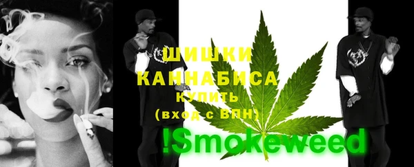 шишки Балахна