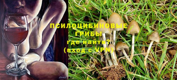 шишки Балахна